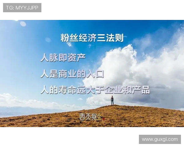 跨越三代的忠诚传承 德甲劲旅粉丝经济学如何保持长盛不衰